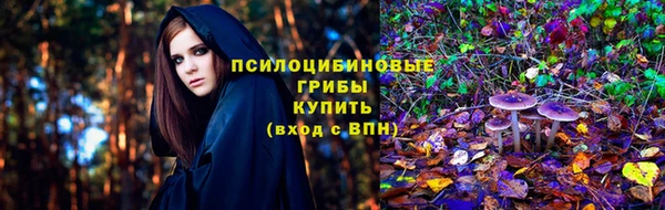 MDMA Няндома