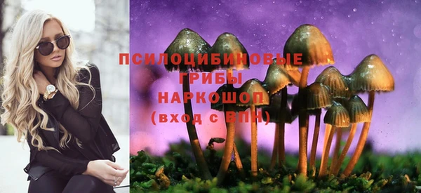 ешки Нягань