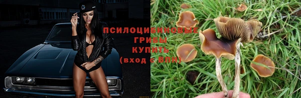 MDMA Няндома