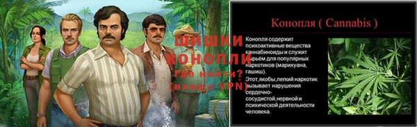 круглые Сосновка