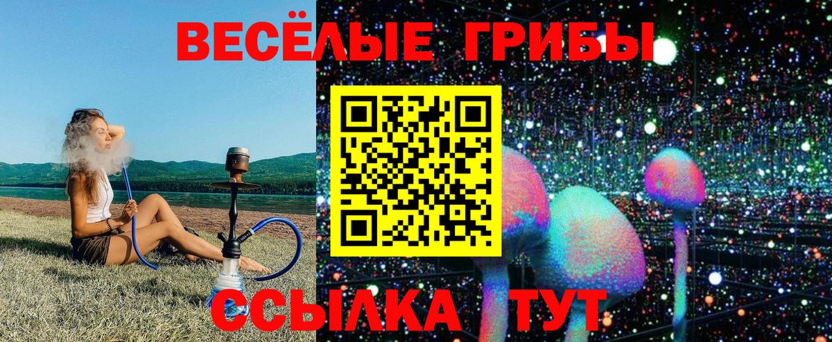 Ртищево  Псилоцибиновые грибы прущие грибы  Вход с VPN  Галлюциногенные грибы мухоморы 