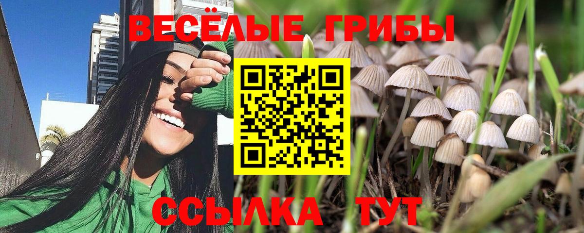 Галлюциногенные грибы GOLDEN TEACHER Ртищево